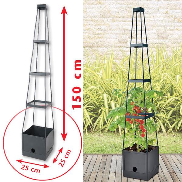 Tomaten-Pyramide