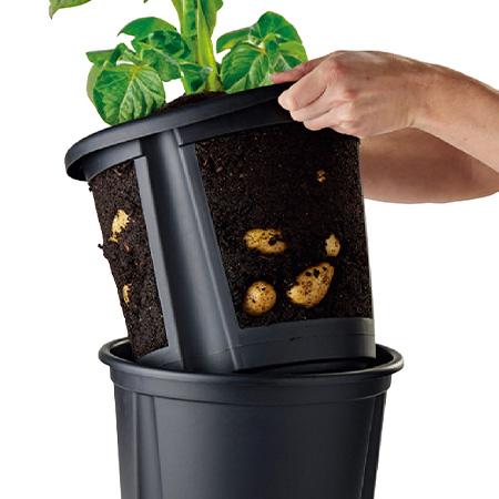 Kartoffel Pflanztopf