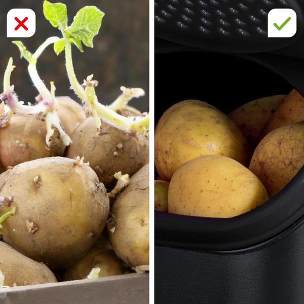 Tupperware PotatoSmart Spar-Set inkl. OnionSmart & GarlicSmart GRATIS