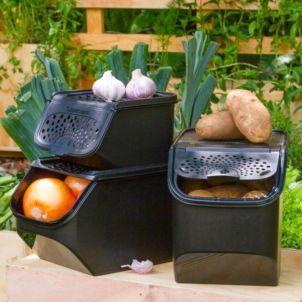 Tupperware PotatoSmart Spar-Set inkl. OnionSmart & GarlicSmart GRATIS