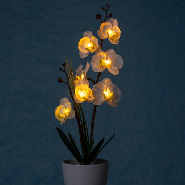 LED-Orchidee